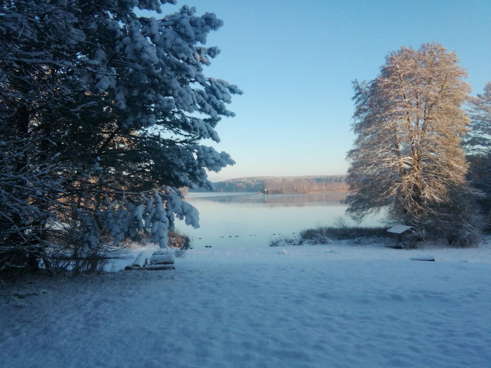 The tent meadow of the NaturCamping am Ellbogensee in winter, covered by a white blanket of snow..