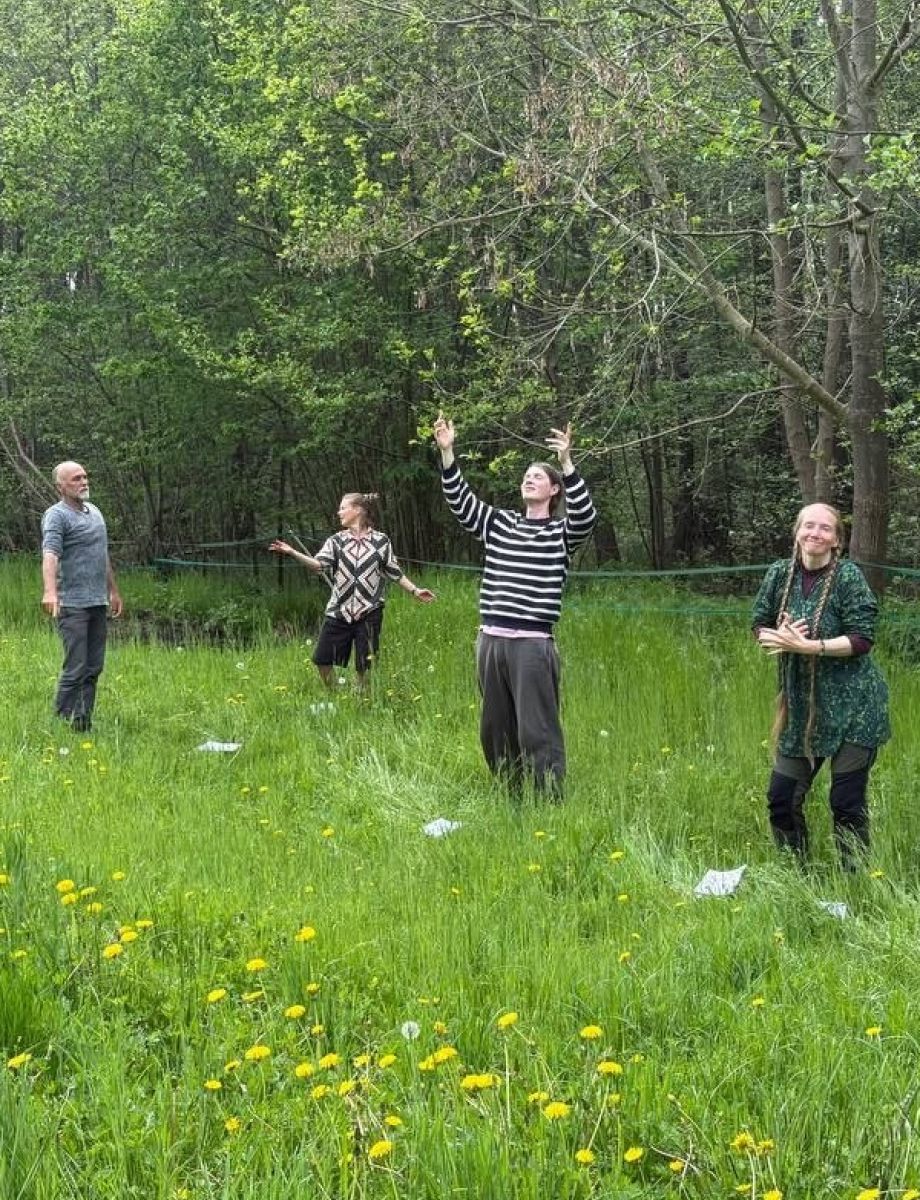 Menschen spielen Pflanzen in einer Wiese